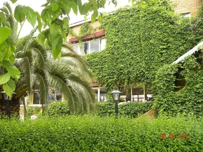 Jardín al aire libre en Hostal San José