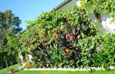 Jardín al aire libre en Charming Villa with Private Pool in La Calzada de Béjar