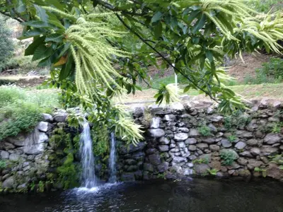 Paisaje cerca de este apartamento