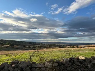 Paisaje cerca of this country house
