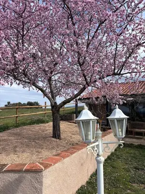 Jardín al aire libre en Casa Rural Explora, Pastores