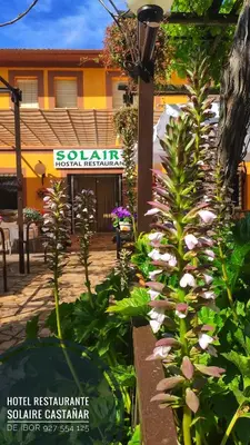 Jardín al aire libre en Hostal Restaurante Solaire