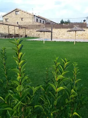 Edificio en el que se encuentra the country house