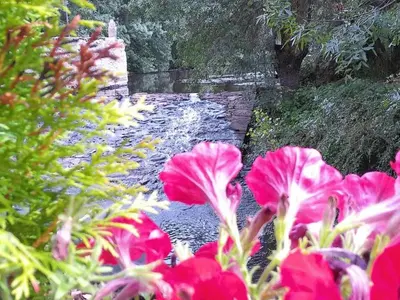 Jardín al aire libre en Casa del Puente - MurallaHomes