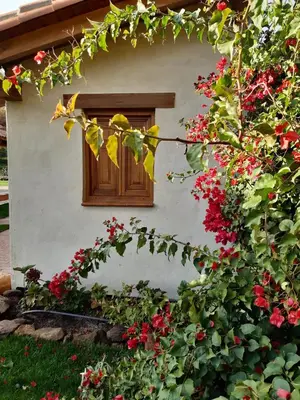Jardín al aire libre en Casa rural Quinta de los Almiares