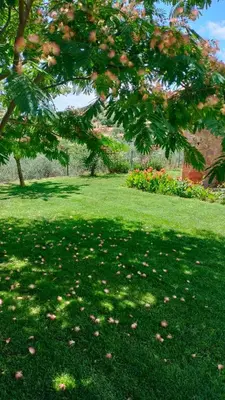 Jardín al aire libre en Casa rural Quinta de los Almiares