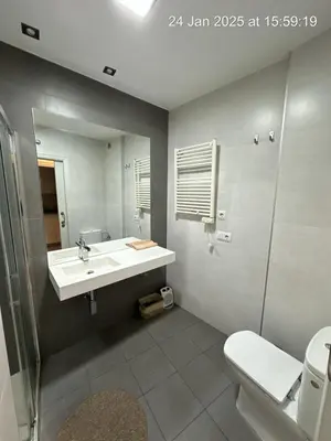 Un baño de Principal Plaza