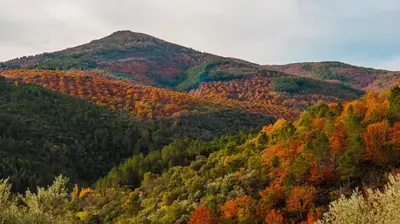 Paisaje cerca de este hostal o pensión