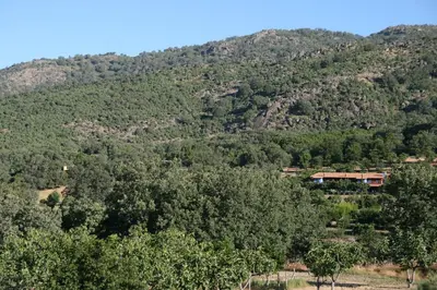 Paisaje cerca of this country house