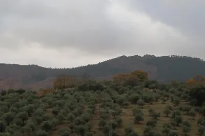 Paisaje cerca de este apartamento