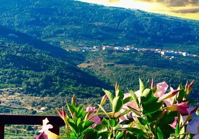Paisaje cerca de esta casa o chalet