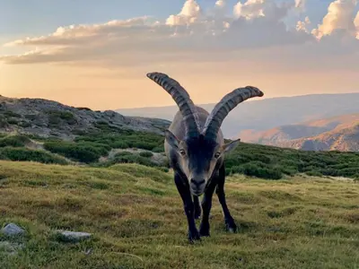 Paisaje cerca de este apartamento