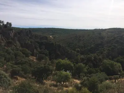 Paisaje cerca of this country house