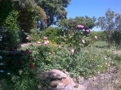 Jardín al aire libre en La Cerca Del Alcornoque