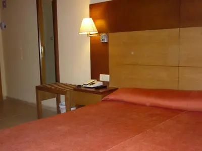 Cama o camas de una habitación en Gran Hotel Balneario