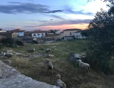Paisaje cerca of this country house