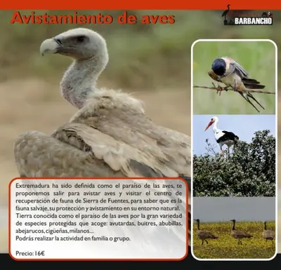Animales en el apartamento o alrededores