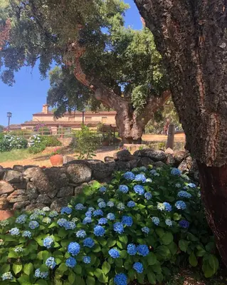 Jardín al aire libre en Apartamentos Rurales La Macera ****