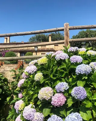 Jardín al aire libre en Apartamentos Rurales La Macera ****
