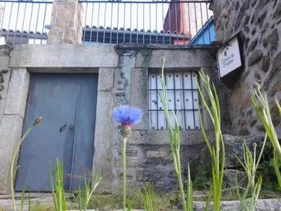 Edificio en el que se encuentra el chalet de montaña