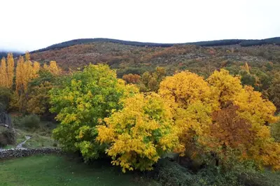 Paisaje cerca de esta casa o chalet