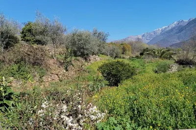 Paisaje cerca de este chalet de montaña