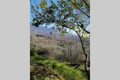 Paisaje cerca de este chalet de montaña