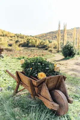 Paisaje cerca de esta casa o chalet