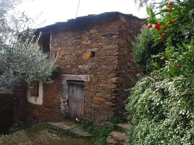 Edificio en el que se encuentra la casa o chalet