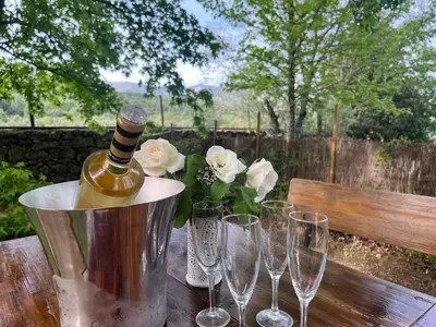 Bebidas en Casa rural Paraje de Yuste