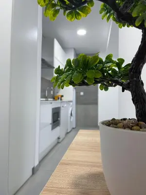 Una cocina o zona de cocina en Apartamentos Lusitania Parking Gratis bajo disponibilidad