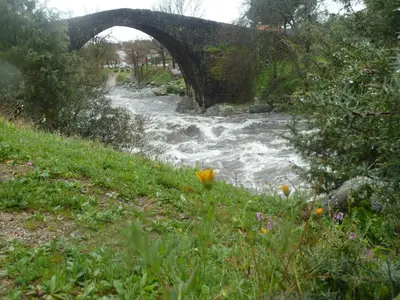 Paisaje cerca de este hostal o pensión