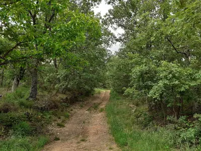 Paisaje cerca de esta casa o chalet