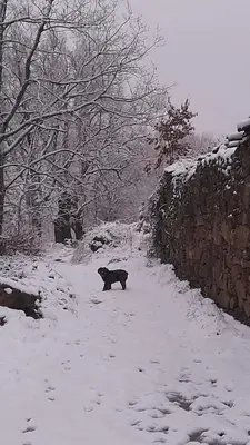 El Refugio de la lumbre en invierno