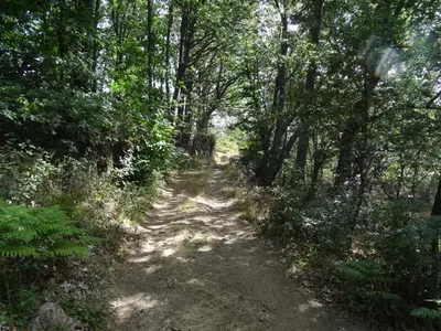 Paisaje cerca de esta casa o chalet