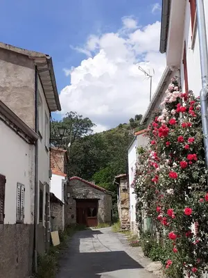 Edificio en el que se encuentra la casa o chalet