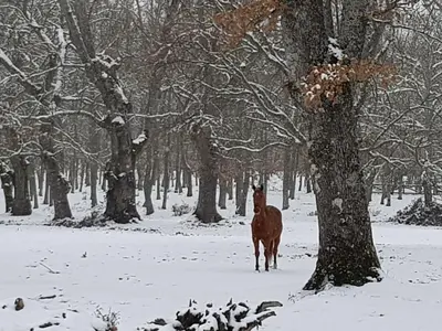 Casa Rural Rincón en invierno