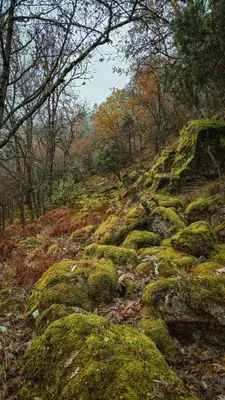 Paisaje cerca of this country house