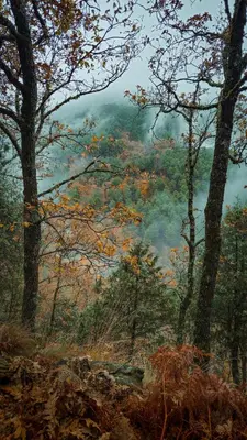 Paisaje cerca of this country house