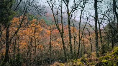 Paisaje cerca of this country house
