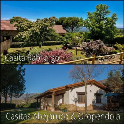 Edificio en el que se encuentra la casa o chalet