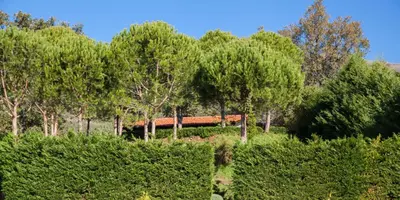 Paisaje cerca de esta casa o chalet