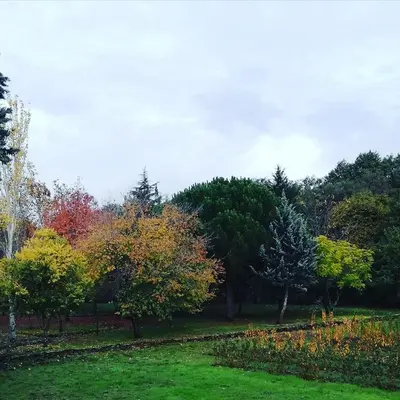 Jardín al aire libre en Apartamento Zocailla