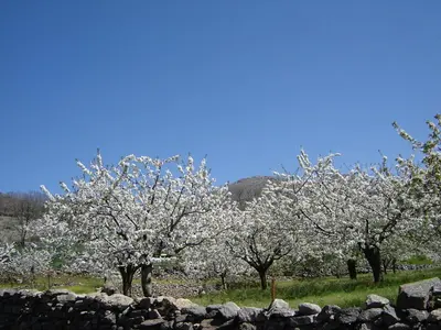 Paisaje cerca de este apartamento