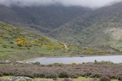 Paisaje cerca de este apartamento