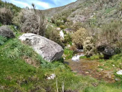 Paisaje cerca de este hotel