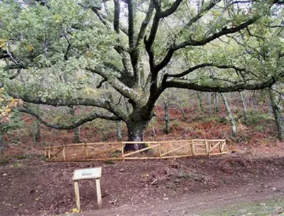 Plano de Las Calabazas