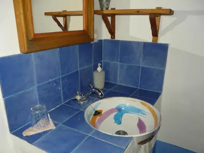 Un baño de El Nido de La Collalba