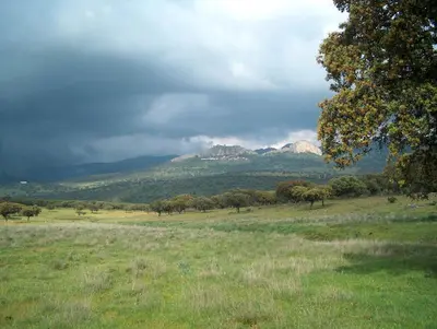 Paisaje cerca de este apartamento