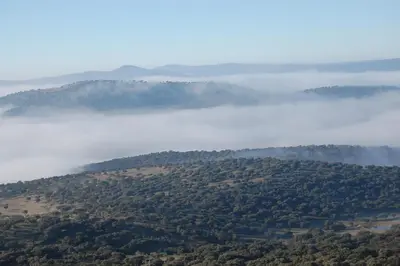 Paisaje cerca de este apartamento